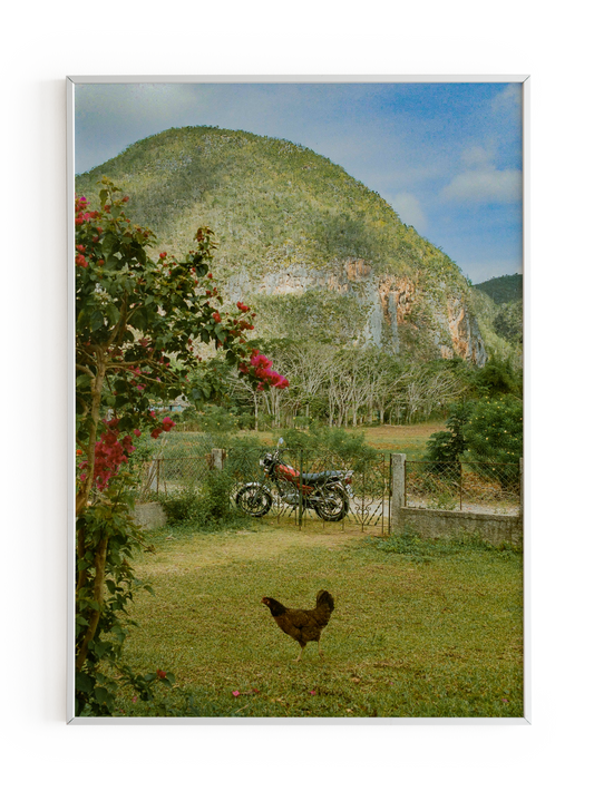 "Viñales" Art Print